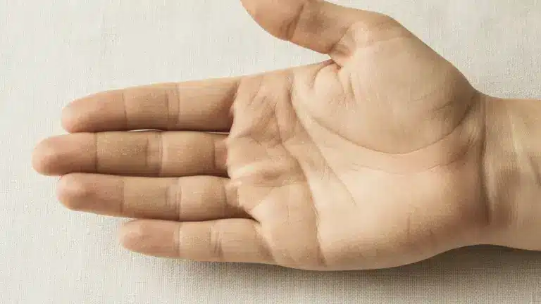 Aplicativos para Interpretar Linhas da Mão e Descobrir seu Futuro