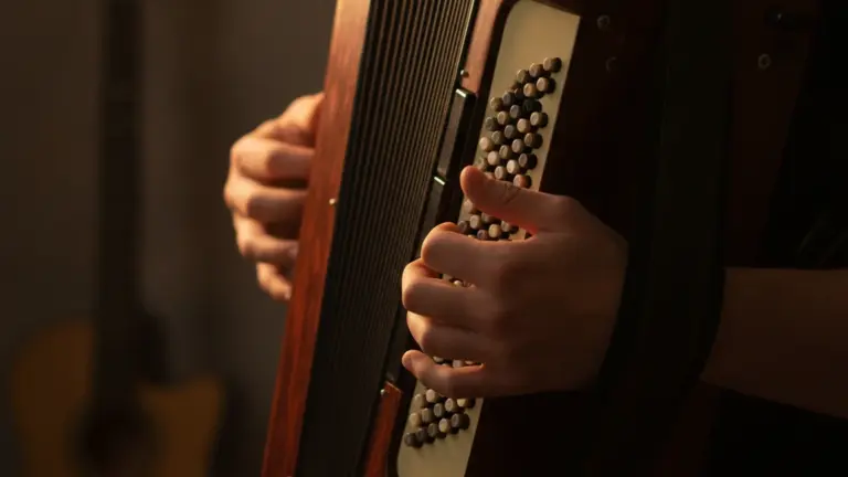 Aprenda a Tocar Acordeon do Zero em Casa