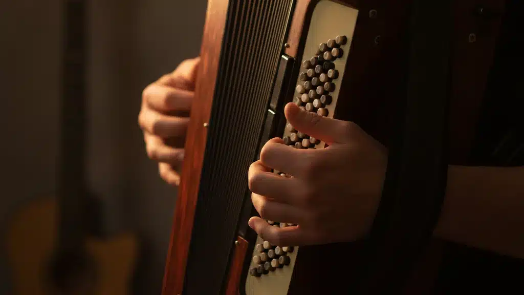 Aprenda a Tocar Acordeon do Zero em Casa